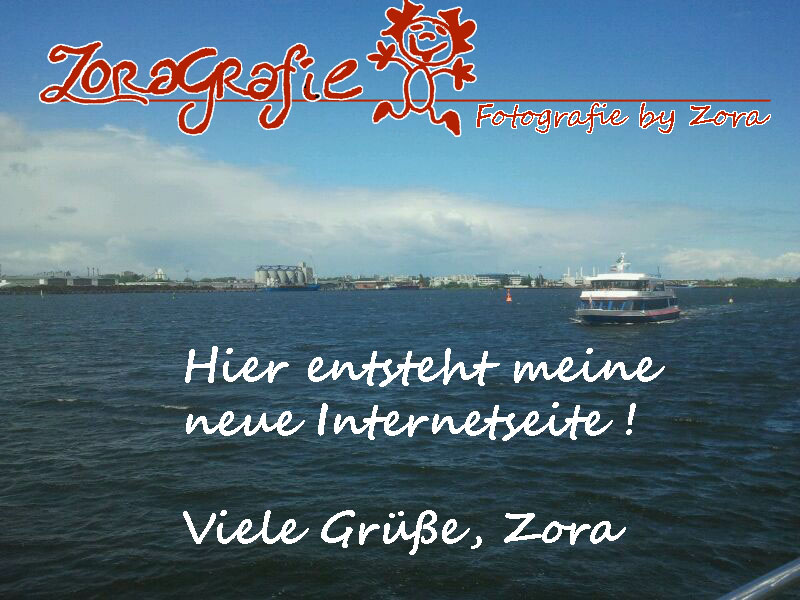 Zoragrafie - Logo